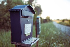 Newsletter